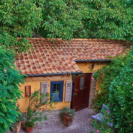 Biggi‘s Garten-Finca Flonheim Exteriör bild
