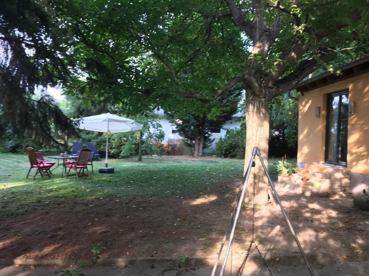 Biggi‘s Garten-Finca Flonheim Exteriör bild